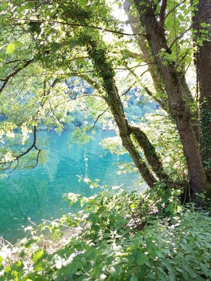 Appartamento Levico Lake Levico Terme Εξωτερικό φωτογραφία