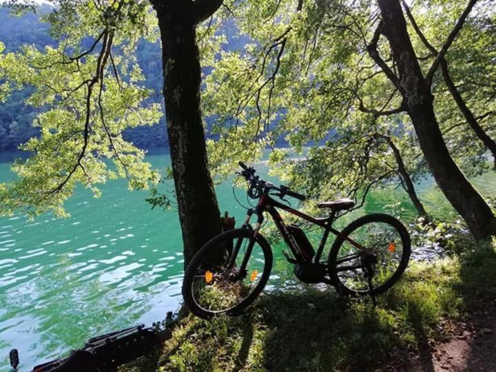 Appartamento Levico Lake Levico Terme Εξωτερικό φωτογραφία